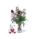 Item #: VNG-RO-0511